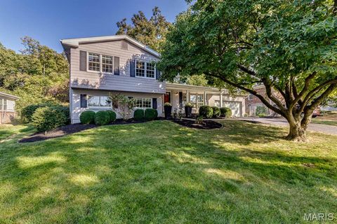 Photo of 11 Melshire Court, St Louis, MO 63122 (MLS # 25069898)