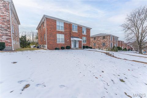 Tiny photo for 10342 Parkman Drive, St Louis, MO 63123 (MLS # 25079654)