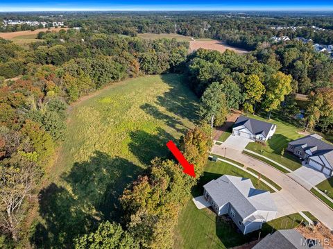 Tiny photo for 116 Timber Wind Drive, Wentzville, MO 63385 (MLS # 25063895)