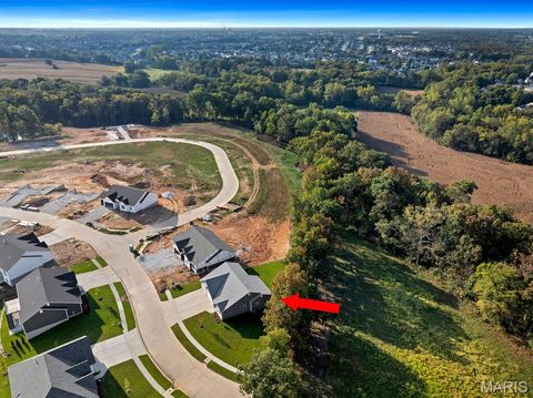 Tiny photo for 116 Timber Wind Drive, Wentzville, MO 63385 (MLS # 25063895)