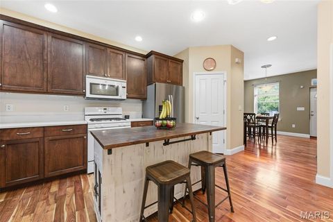 Tiny photo for 2242 Nebraska Avenue, St Louis, MO 63104 (MLS # 25070139)