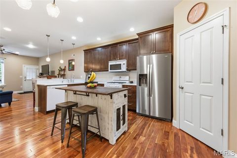 Tiny photo for 2242 Nebraska Avenue, St Louis, MO 63104 (MLS # 25070139)