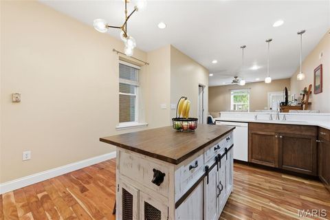 Tiny photo for 2242 Nebraska Avenue, St Louis, MO 63104 (MLS # 25070139)