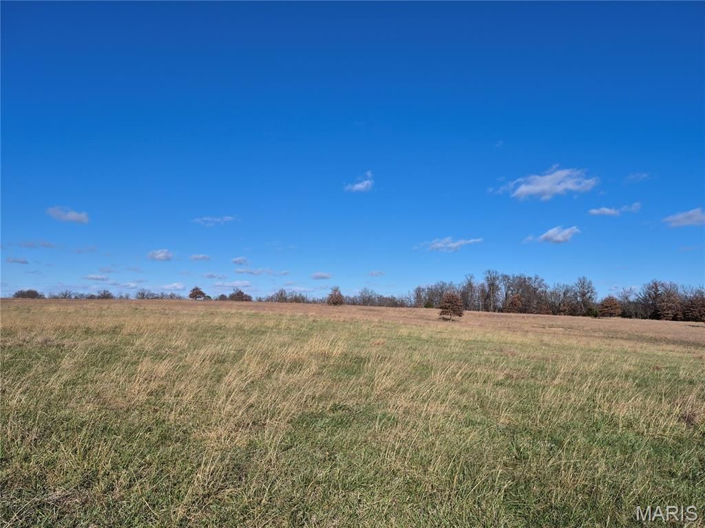 Photo of 0 County Road 197 - Tract 2 (30+/- Acres), Montgomery City, MO 63361 (MLS # 25079629)