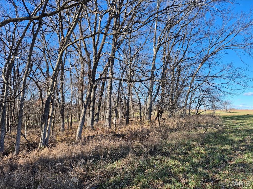 Photo of 0 County Road 197 - Tract 2 (30+/- Acres), Montgomery City, MO 63361 (MLS # 25079629)