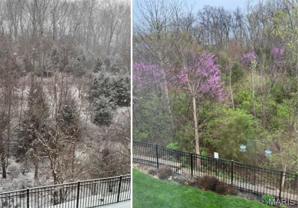 Peine Woods - Residential