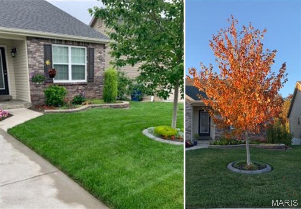 Peine Woods - Residential