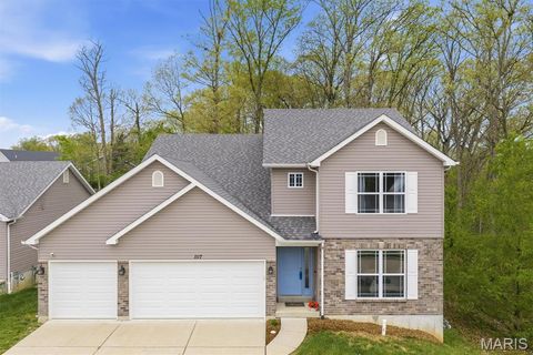 Photo of 1117 Austin Drive, Herculaneum, MO 63048 (MLS # 26018144)