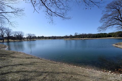 Tiny photo for 17016 Lakeside Ridge, Chesterfield, MO 63005 (MLS # 26009476)