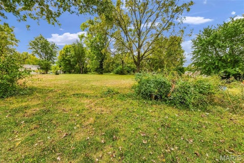 Tiny photo for 36 New Hope Road, Elsberry, MO 63343 (MLS # 26059985)