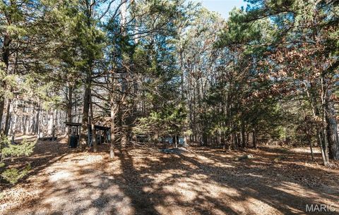 Tiny photo for 1 Wayne 224A, Hiram, MO 63944 (MLS # 26030871)