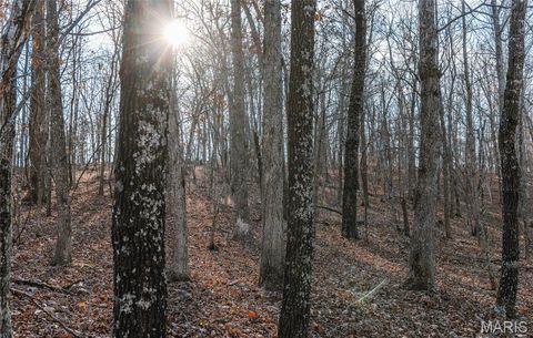 Tiny photo for 1 Wayne 224A, Hiram, MO 63944 (MLS # 26030871)