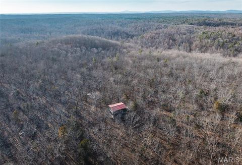 Tiny photo for 1 Wayne 224A, Hiram, MO 63944 (MLS # 26030871)