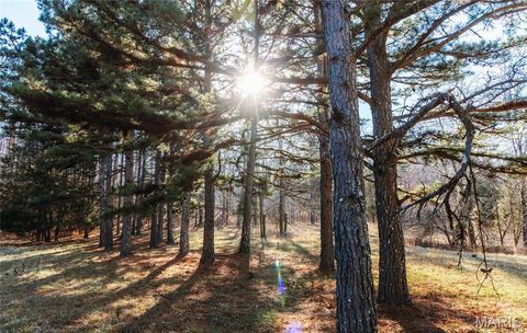 Tiny photo for 1 Wayne 224A, Hiram, MO 63944 (MLS # 26030871)