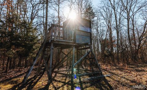 Tiny photo for 1 Wayne 224A, Hiram, MO 63944 (MLS # 26030871)