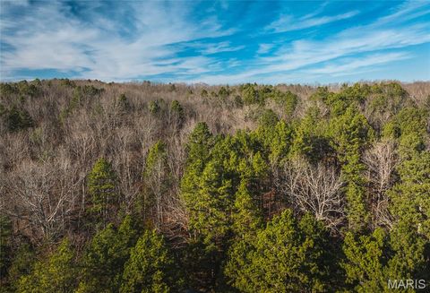 Tiny photo for 1 Wayne 224A, Hiram, MO 63944 (MLS # 26030871)