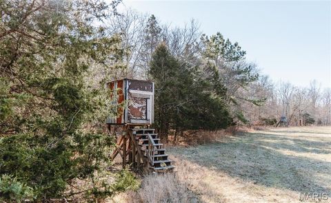Tiny photo for 1 Wayne 224A, Hiram, MO 63944 (MLS # 26030871)
