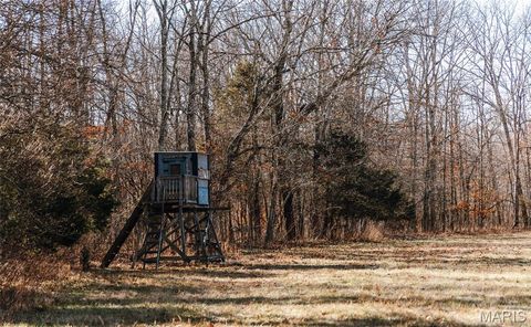 Tiny photo for 1 Wayne 224A, Hiram, MO 63944 (MLS # 26030871)