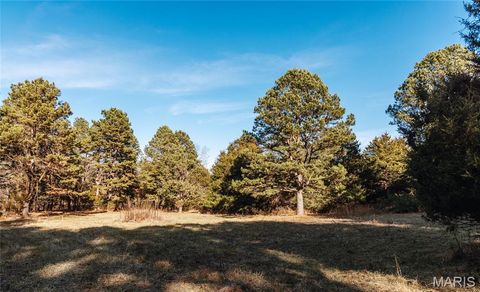 Tiny photo for 1 Wayne 224A, Hiram, MO 63944 (MLS # 26030871)