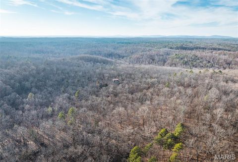 Tiny photo for 1 Wayne 224A, Hiram, MO 63944 (MLS # 26030871)