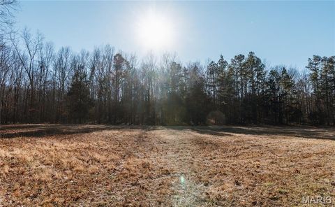 Tiny photo for 1 Wayne 224A, Hiram, MO 63944 (MLS # 26030871)
