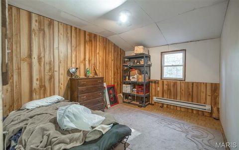 Tiny photo for 1 Wayne 224A, Hiram, MO 63944 (MLS # 26030871)