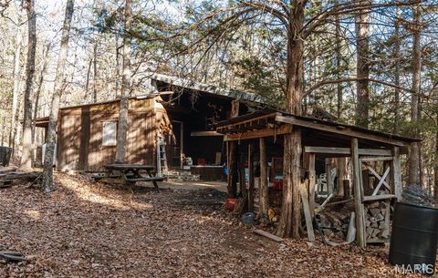 Tiny photo for 1 Wayne 224A, Hiram, MO 63944 (MLS # 26030871)