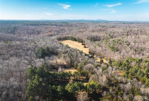 Tiny photo for 1 Wayne 224A, Hiram, MO 63944 (MLS # 26030871)