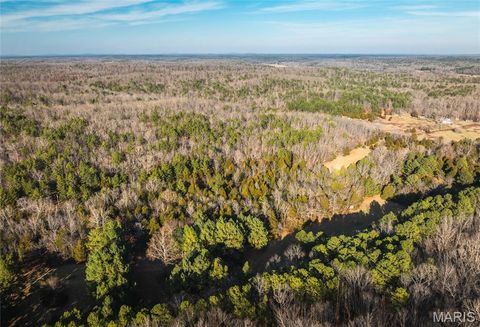 Tiny photo for 1 Wayne 224A, Hiram, MO 63944 (MLS # 26030871)