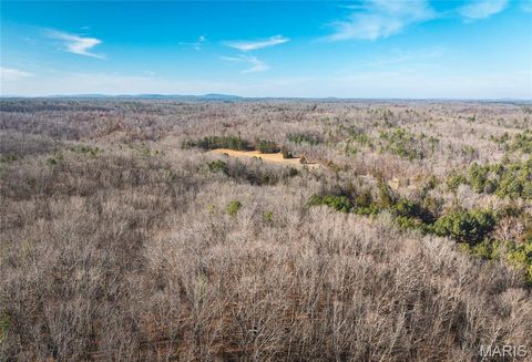Tiny photo for 1 Wayne 224A, Hiram, MO 63944 (MLS # 26030871)