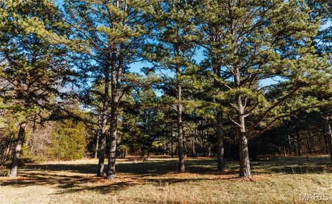 Tiny photo for 1 Wayne 224A, Hiram, MO 63944 (MLS # 26030871)