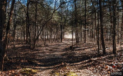 Tiny photo for 1 Wayne 224A, Hiram, MO 63944 (MLS # 26030871)