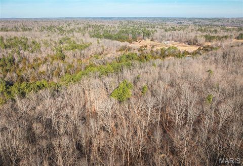 Tiny photo for 1 Wayne 224A, Hiram, MO 63944 (MLS # 26030871)