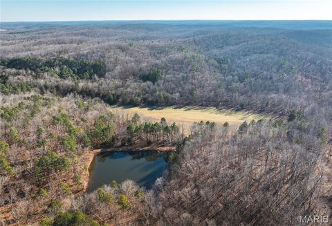 Tiny photo for 1 Wayne 224A, Hiram, MO 63944 (MLS # 26030871)