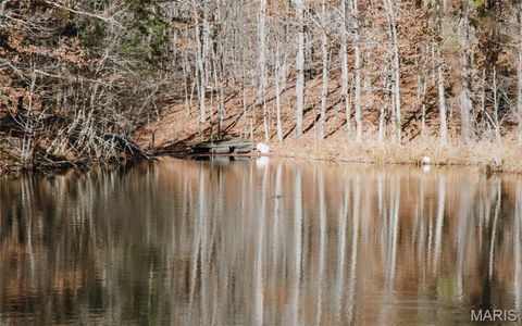 Tiny photo for 1 Wayne 224A, Hiram, MO 63944 (MLS # 26030871)