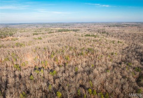 Tiny photo for 1 Wayne 224A, Hiram, MO 63944 (MLS # 26030871)