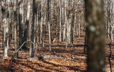Tiny photo for 1 Wayne 224A, Hiram, MO 63944 (MLS # 26030871)