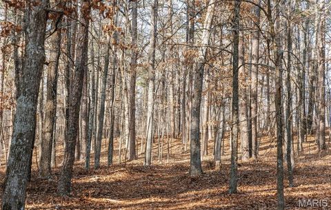 Tiny photo for 1 Wayne 224A, Hiram, MO 63944 (MLS # 26030871)