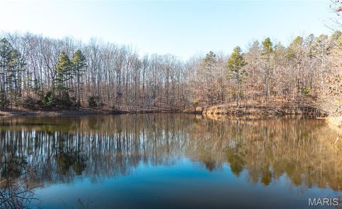 Tiny photo for 1 Wayne 224A, Hiram, MO 63944 (MLS # 26030871)