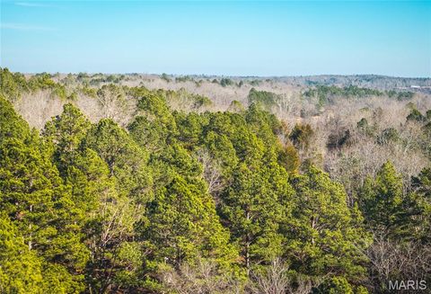 Tiny photo for 1 Wayne 224A, Hiram, MO 63944 (MLS # 26030871)