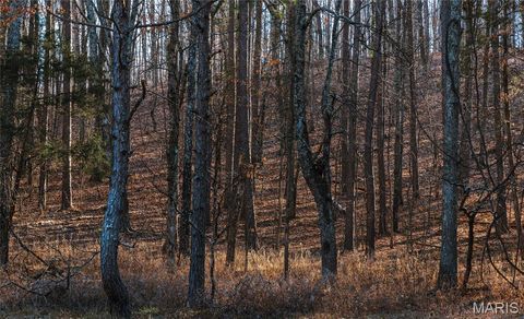 Tiny photo for 1 Wayne 224A, Hiram, MO 63944 (MLS # 26030871)