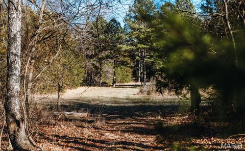 Tiny photo for 1 Wayne 224A, Hiram, MO 63944 (MLS # 26030871)
