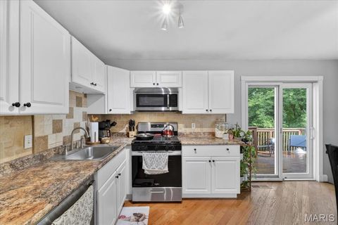 Tiny photo for 4083 Tarragona Drive, St Louis, MO 63129 (MLS # 26030884)