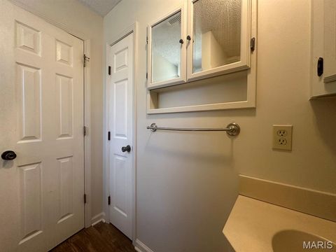 Tiny photo for 17173 E Cedar Hills Drive, Dexter, MO 63841 (MLS # 26018778)