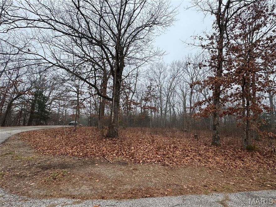 Great Building Lot in Raintree in it's natural state.