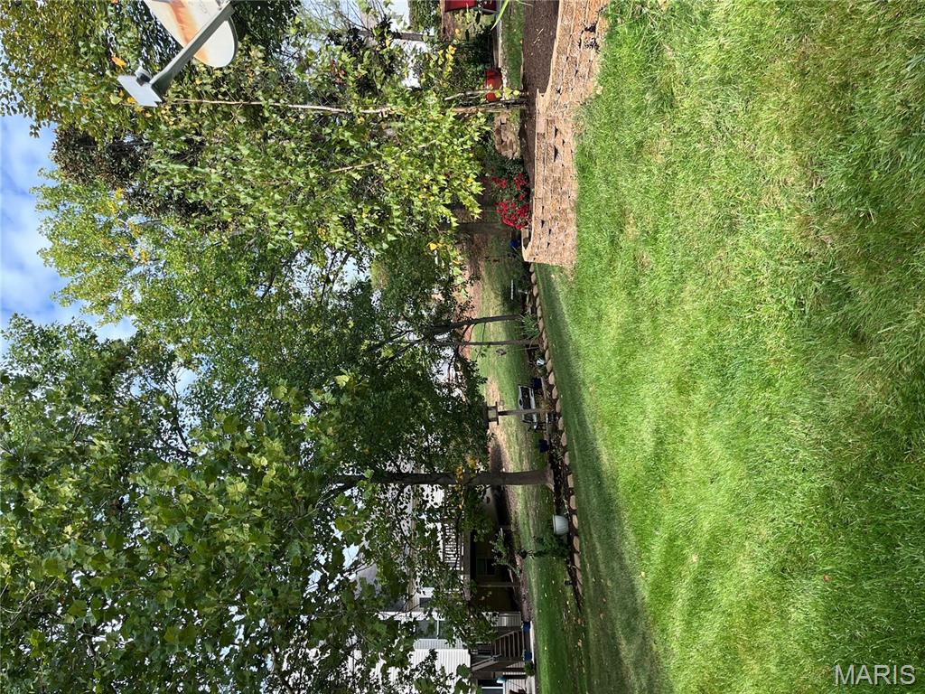 31 Lace Bark Court