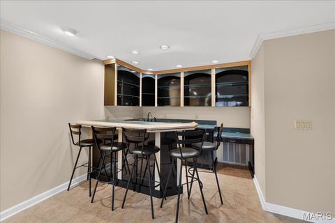 Tiny photo for 14033 Woods Mill Cove Drive, Chesterfield, MO 63017 (MLS # 26018003)