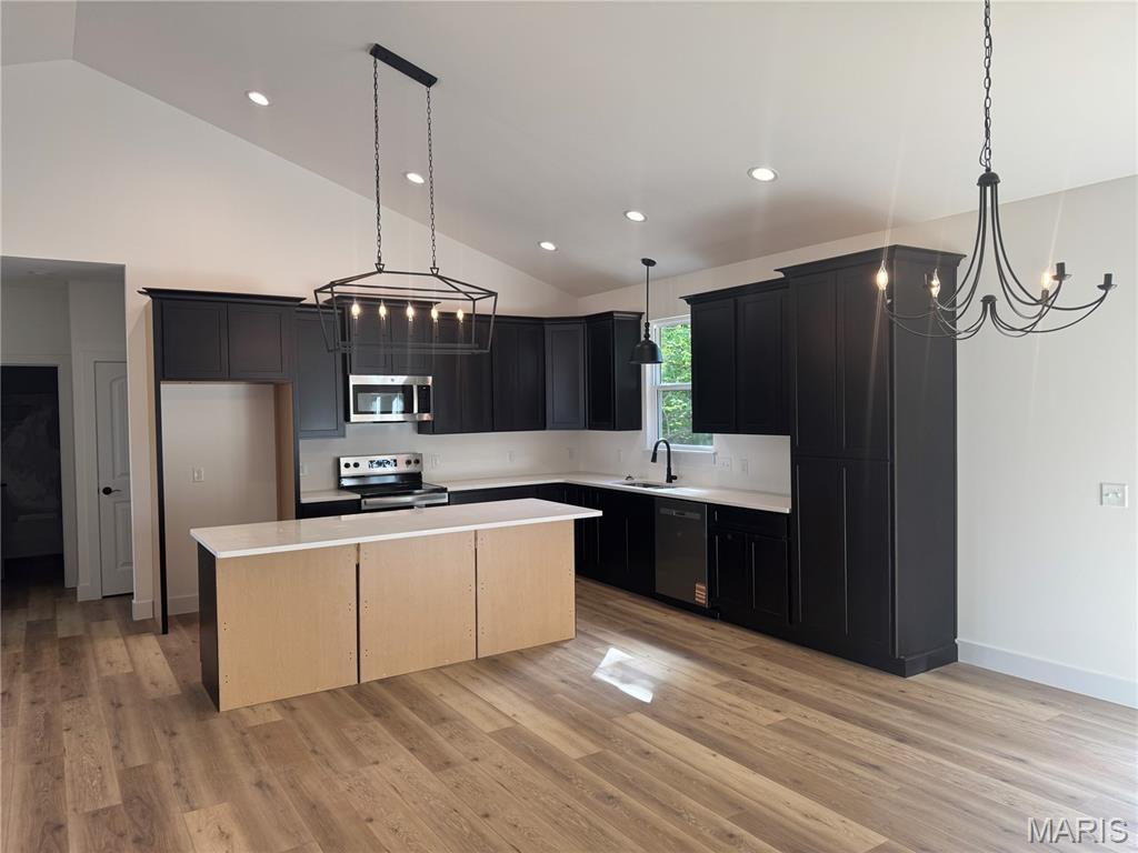 335 Shumard Oak Drive