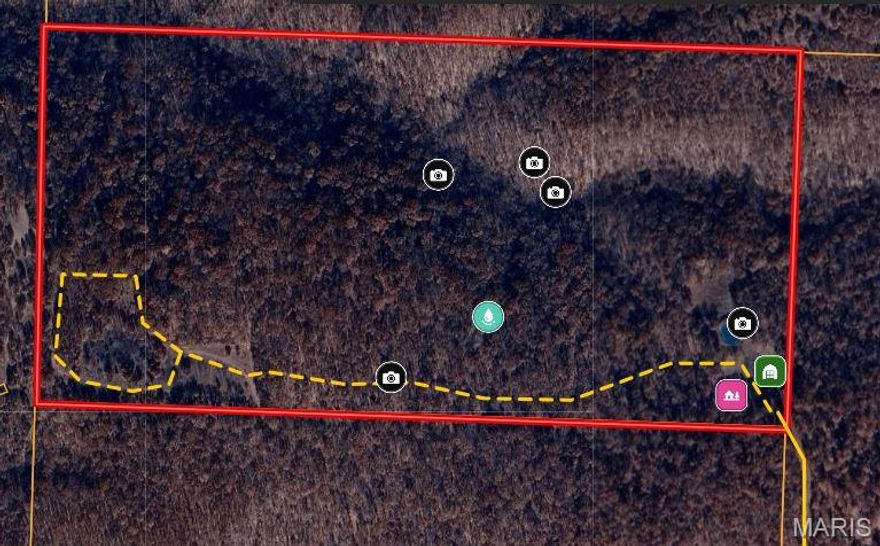 82 very secluded acres 15 minutes west of Camdenton/Lake of the Ozarks with a lot of nearby activities including fishing. This is a great deer and turkey hunting property. Story and a half newer country cabin; turnkey except for a couple personal items. 1,000 sf of living space with a main floor bedroom and sleeping loft. Year round water including a hill side spring close to the cabin and 2 small ponds. 860sf garage for equipment, ATV’s etc. Nice hallow runs through the center of the property. 2 Indian marking tree along old Indian trail. Great tail along south side which provides good access. This property is got some very good marketable timber with veneer white oaks. Close to Niangua River access and float trips, offers excellent fishing. Hunts big. Access by easement.