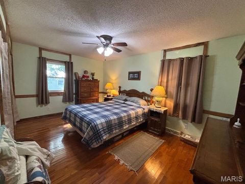 Tiny photo for 215 S Oak Street, Monroe City, MO 63456 (MLS # 26030696)